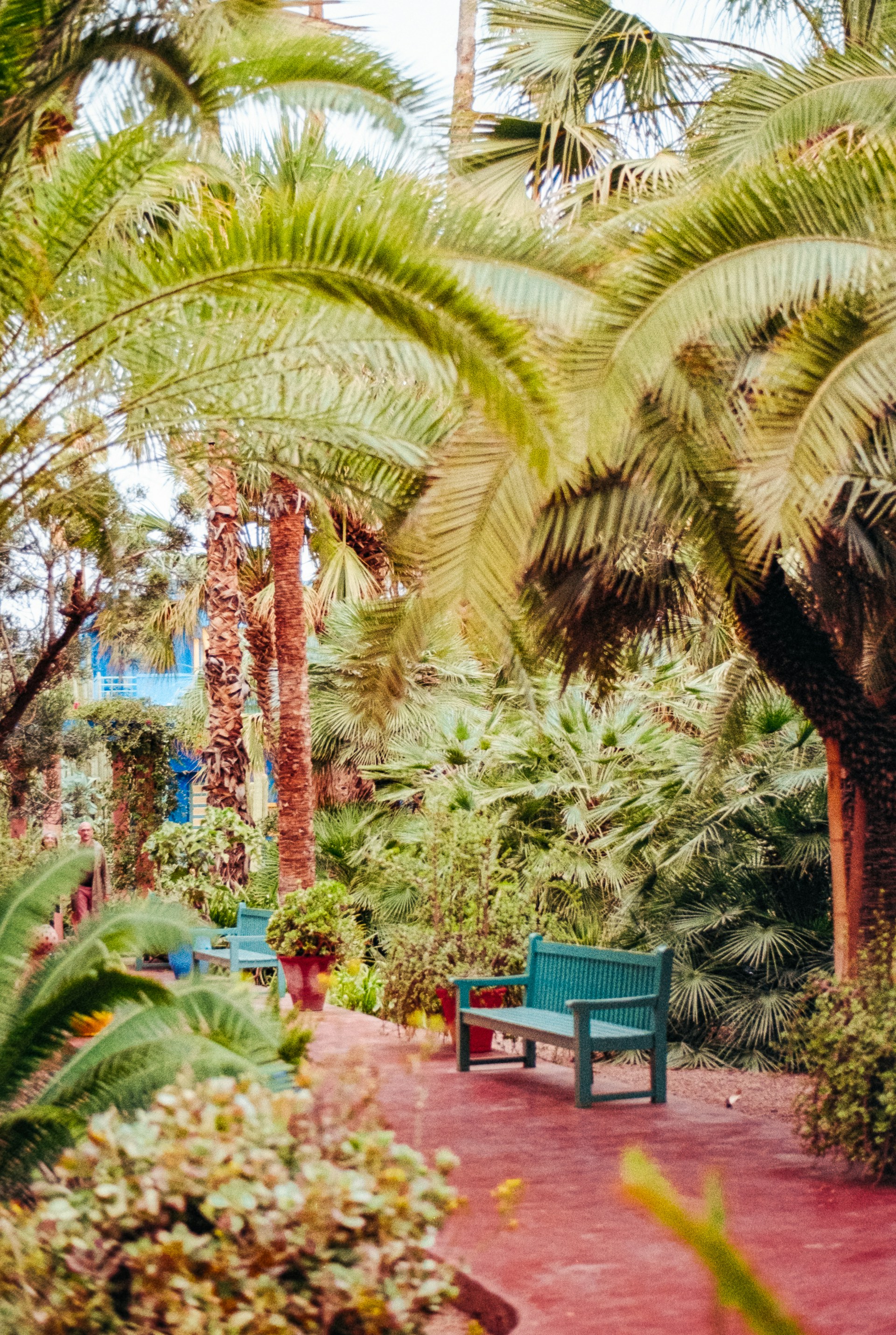 Sun Coast Landscaping